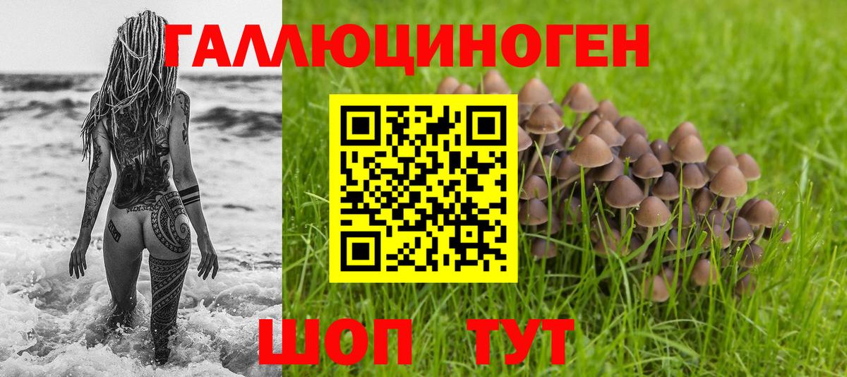 Галлюциногенные грибы мухоморы Гусиноозёрск